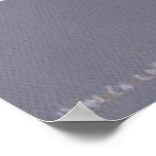 Art Lover Poster (Ecke)