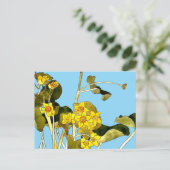Art Nouveau Buttercups Postkarte (Stehend Vorderseite)