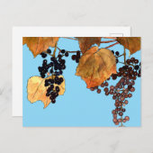 Art Nouveau Frost Trauben Postkarte (Vorne/Hinten)