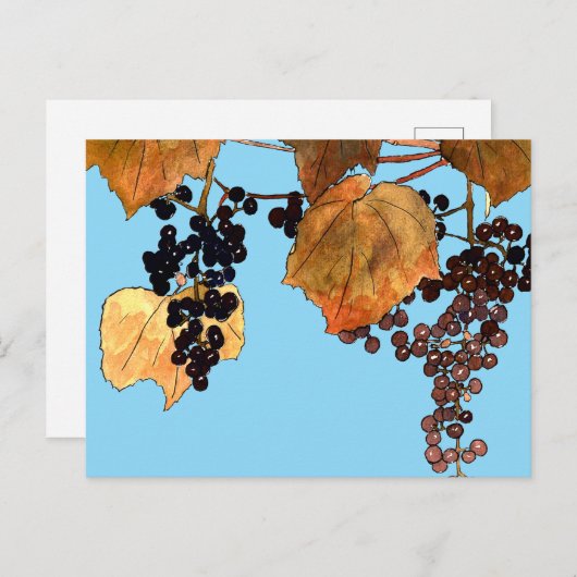 Art Nouveau Frost Trauben Postkarte (Vorne/Hinten)