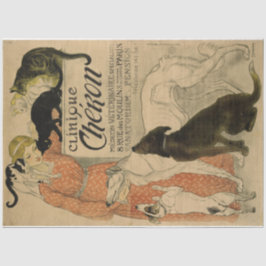 Art Nouveau Poster 21 Haustiere Lady Decoupage Seidenpapier