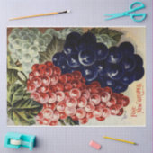 Art Nouveau Poster 25 Traubenentkleidungspapier Seidenpapier (Basteln)