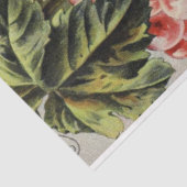 Art Nouveau Poster 25 Traubenentkleidungspapier Seidenpapier (Ausschnitt)