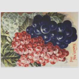 Art Nouveau Poster 25 Traubenentkleidungspapier Seidenpapier