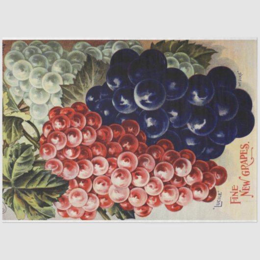 Art Nouveau Poster 25 Traubenentkleidungspapier Seidenpapier (Vorderseite)
