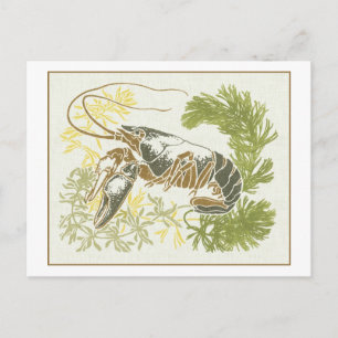 Art Nouveau Sea Creature Illustration - Lobster Postkarte