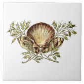 Art Nouveau Seashell Fliese (Vorderseite)