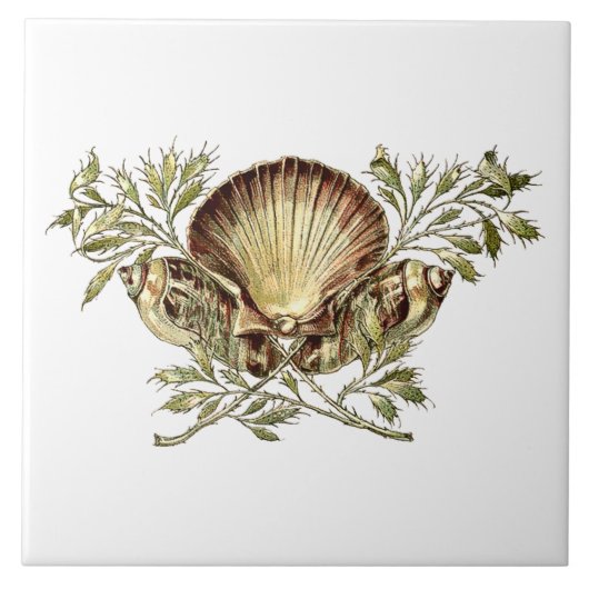 Art Nouveau Seashell Fliese (Vorderseite)