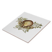 Art Nouveau Seashell Fliese (Seite)