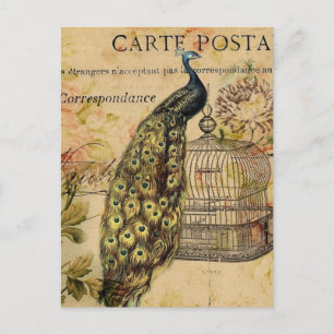 Art Nouveau Vintage Pfau Französische Provinz Postkarte
