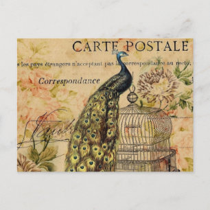 art nouveau Vintage Pfauenfritz Postkarte