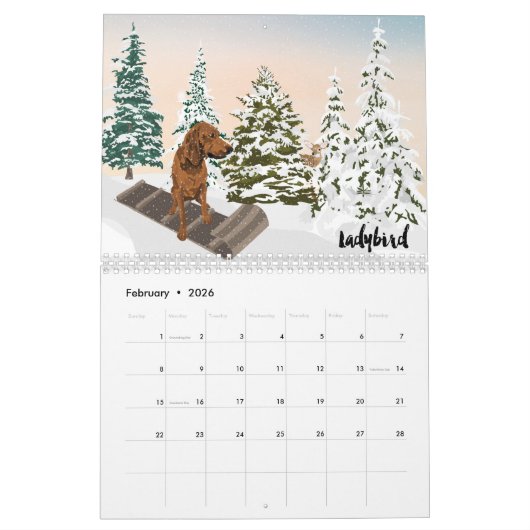Art of a Coonhound Calendar 2021 Kalender (Feb 2026)