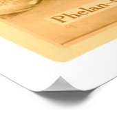 Art Phelan Chicago Cubs Baseball 1914 Poster (Ecke)