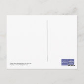 Art Postcard: Pelican Roost, Banrock Station Postkarte (Rückseite)