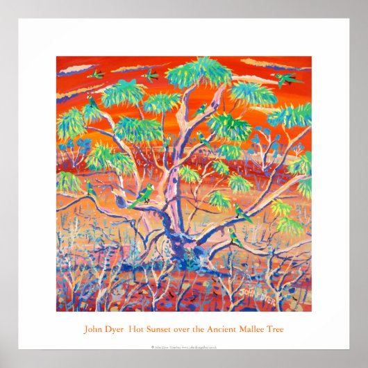 Art Poster: Banrock Station Sunset Mallee Tree Poster (Vorne)