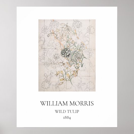 ART POSTER : WILLIAM MORRIS : WILD TULIP : 1884 (Vorne)