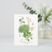 Art Postkarte (Stehend Vorderseite)