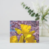 Art Postkarte Blumenfrühlingsblütenfrüchte Dickdar (Stehend Vorderseite)