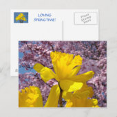 Art Postkarte Blumenfrühlingsblütenfrüchte Dickdar (Vorne/Hinten)