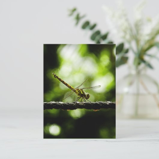 Art - Postkarten (Stehend Vorderseite)