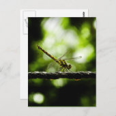 Art - Postkarten (Vorne/Hinten)