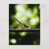 Art - Postkarten (Vorderseite)