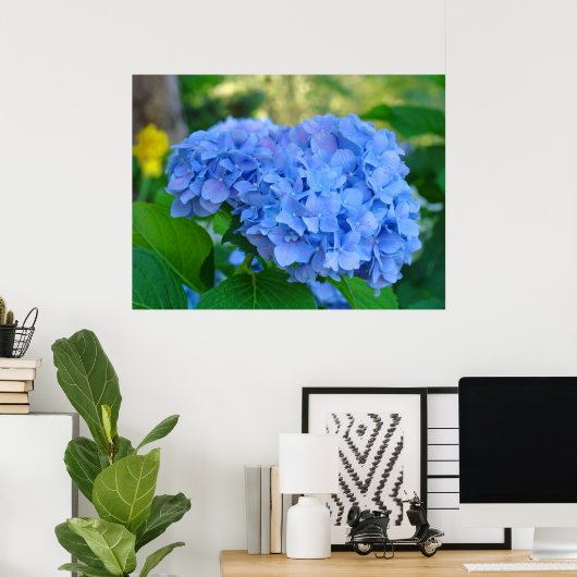 Art Print Geschenke Blue Hydrangea Blumengarten Poster (Heimbüro)