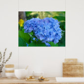 Art Print Geschenke Blue Hydrangea Blumengarten Poster (Küche)