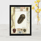 Art Print Grußkarte - Trilobita Karte (Gelbe Blume)