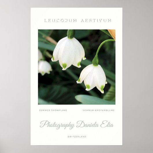 Art Print - „Summer Snowflake“ Poster (Vorne)