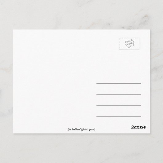 Art: Schollen Postkarte (Rückseite)