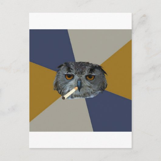 Art Student Owl Advisor Animal Meme Postkarte (Vorderseite)