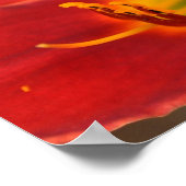 Art von Augle Poster (Ecke)