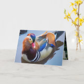 Art von Davey Mandarin Duck Karte (Gelbe Blume)