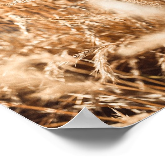 Art & Wall Décor > Plakate & Prints (Ecke)