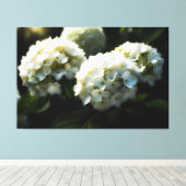 *~* Art White Hydrangea TV2 Stretched Canvas Print Leinwanddruck (Insitu (Holzboden))