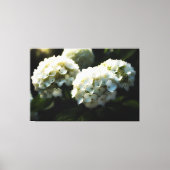 *~* Art White Hydrangea TV2 Stretched Canvas Print Leinwanddruck (Vorderseite)