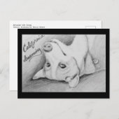 Artaius der Corgi Postkarte (Vorne/Hinten)