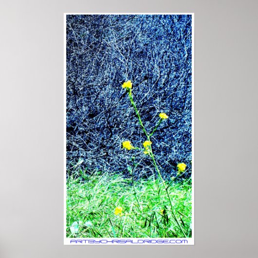 ARTBYCHRISALDRIDGE.COM Poster Nr. 2 (Vorne)