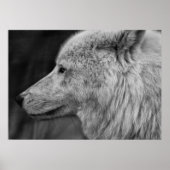 Artc Wolf Poster (Vorne)