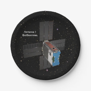 Artemis BioSentinel CubeSat Pappteller