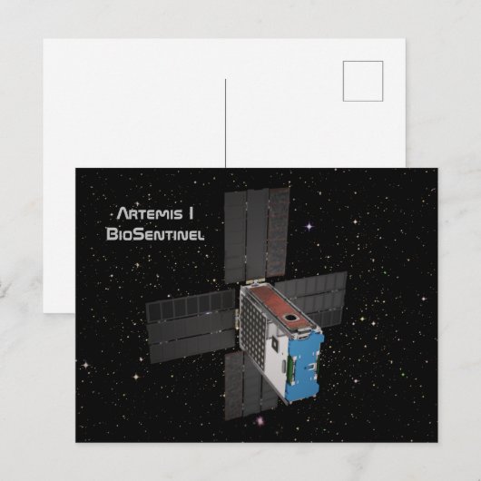 Artemis BioSentinel CubeSat Postkarte (Vorne/Hinten)