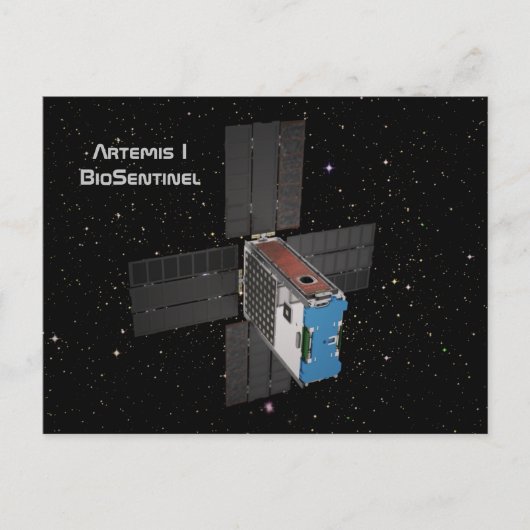 Artemis BioSentinel CubeSat Postkarte (Vorderseite)