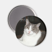 Artemis Magnet (Vorderseite/Rückseite)