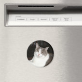 Artemis Magnet (In Situ (Geschirrspüler))