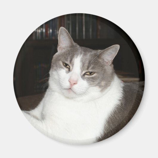 Artemis Magnet (Vorne)