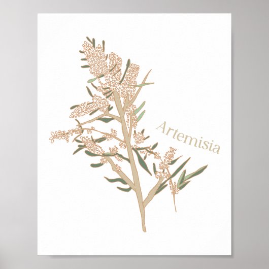 Artemisia Poster (Vorne)