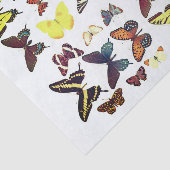 Arten der Schmetterlingssammlung farbenfroh Seidenpapier (Ausschnitt)