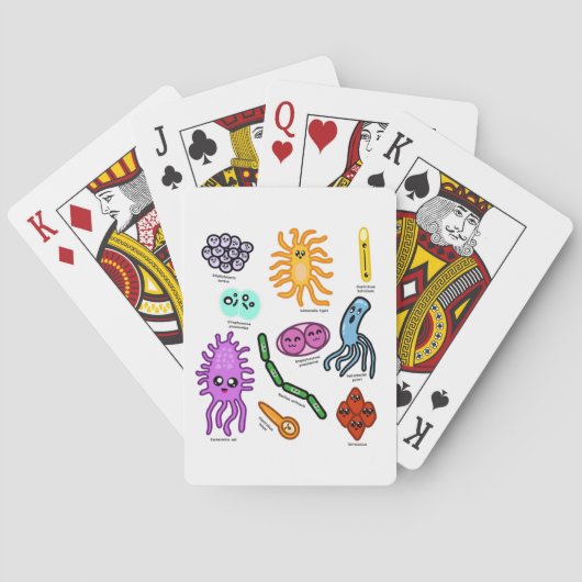 Arten von Bakterien Spielkarten (Rückseite)
