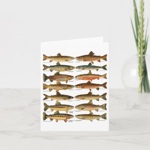 Arten von Forellenfischarten Angelgeschenk  Karte